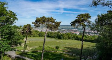 Epernay, vue depuis le Mont Bernon